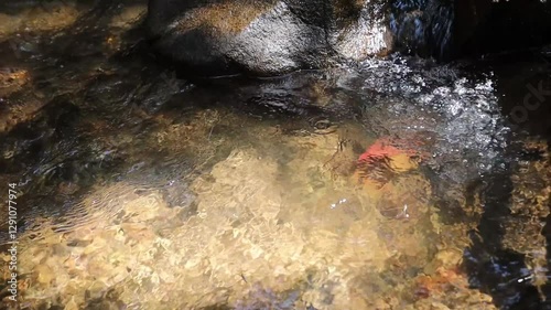 Ripples in a mountain stream