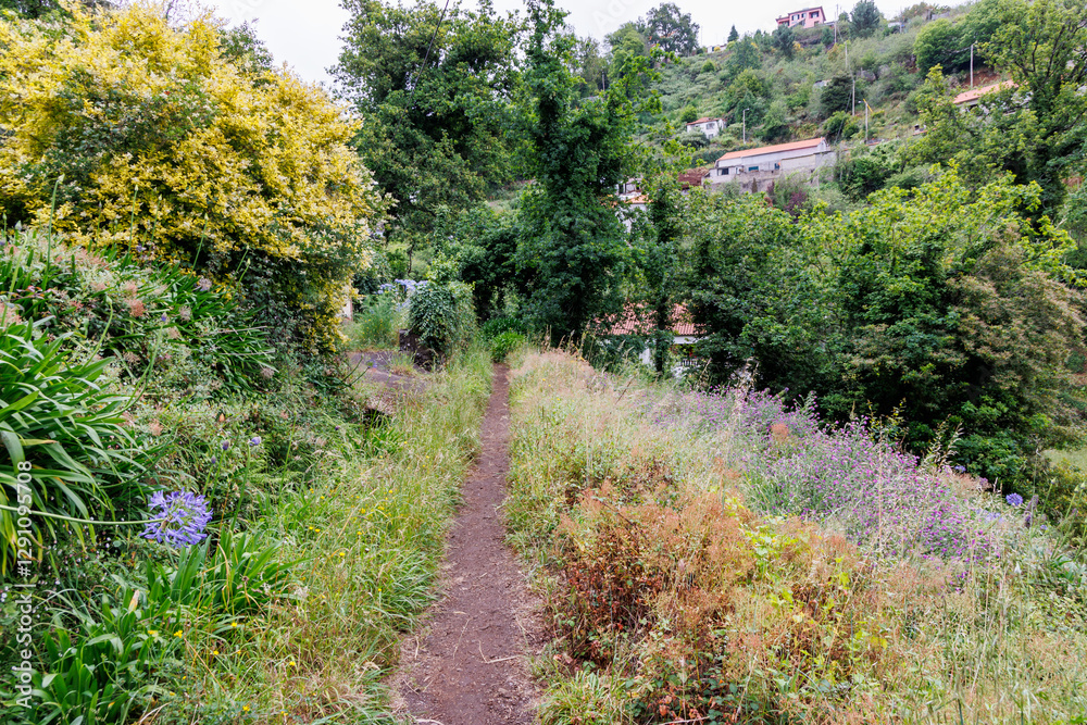 Path along irrigation channel called levada in Camacha city on Madeira Island, Portugal
