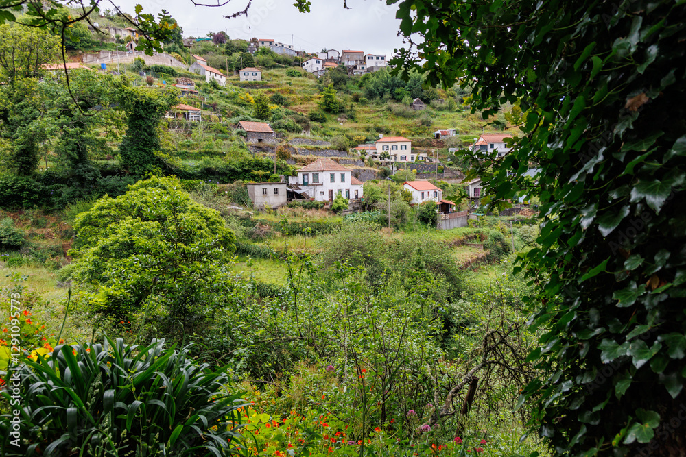 View from footpath along irrigation channel called levada in Camacha city on Madeira Island, Portugal