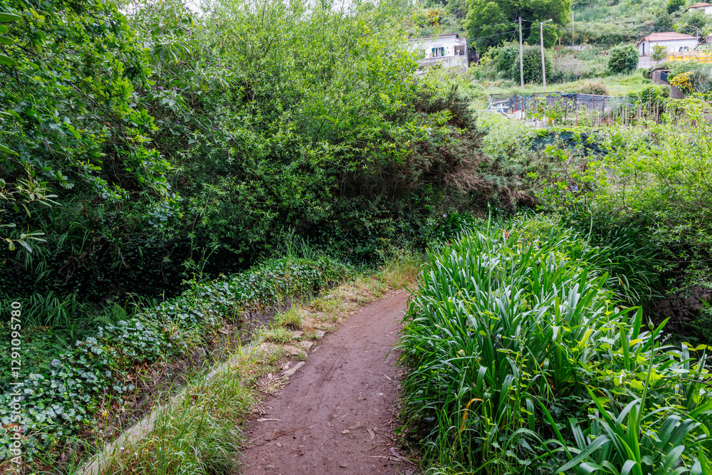 Footpath along irrigation channel called levada in Camacha city on Madeira Island, Portugal