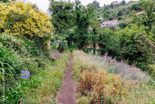 Obraz na płótnie Path along irrigation channel called levada in Camacha city on Madeira Island, Portugal w salonie