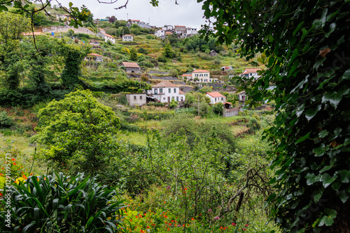 Obraz na płótnie View from footpath along irrigation channel called levada in Camacha city on Madeira Island, Portugal w salonie