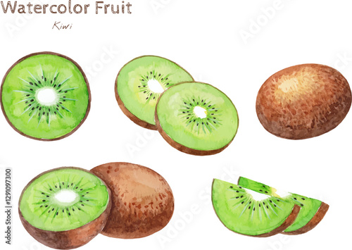 Kiwi watercolor hand painting fruit illustration