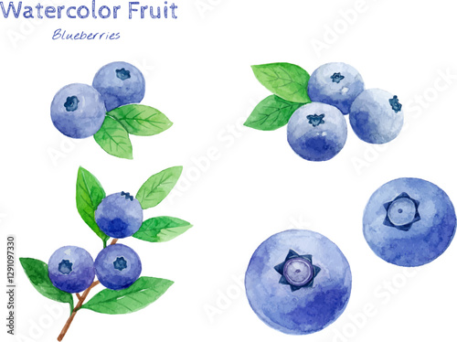 Blueberry watercolor hand painting fruit illustration