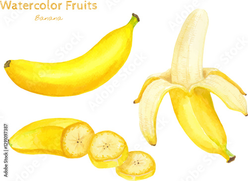 Banana watercolor hand painting fruit illustration