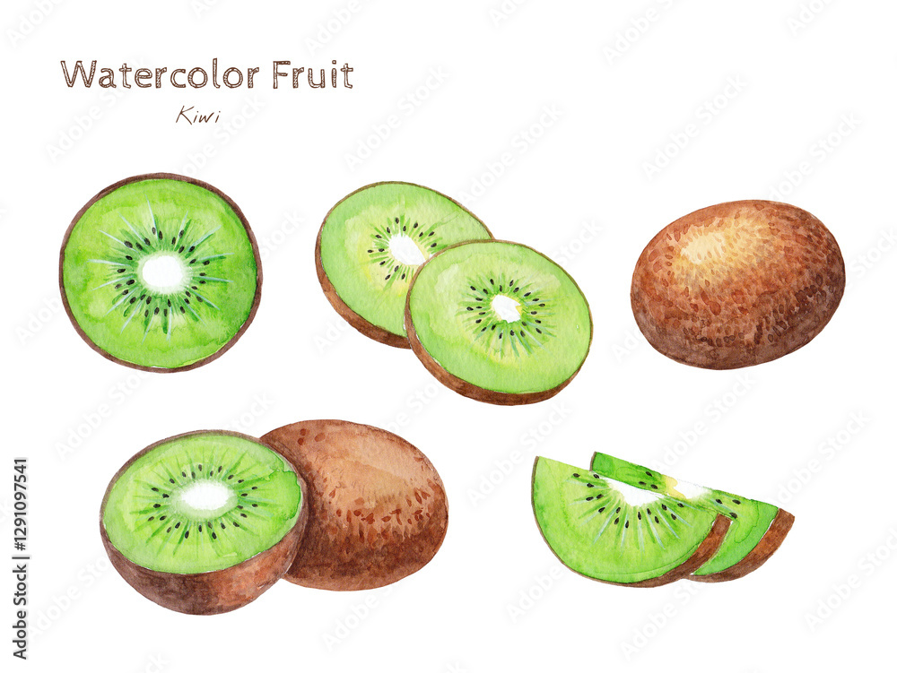 Obraz premium Kiwi watercolor hand painting fruit illustration
