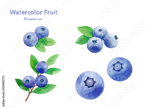 Blueberry watercolor hand painting fruit illustration