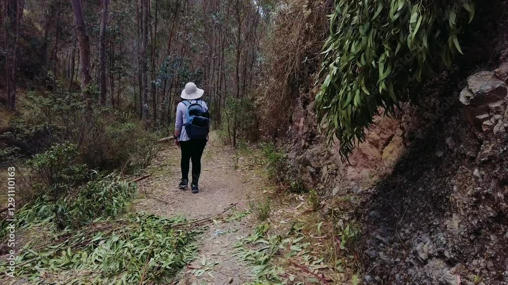Woman with backpack and a traditional peruvian hat walks along a forested trail in the Cusco highlands, Peru. Woman with backpack and a traditional peruvian hat walks along a forested trail in the Cusco highlands, Peru.