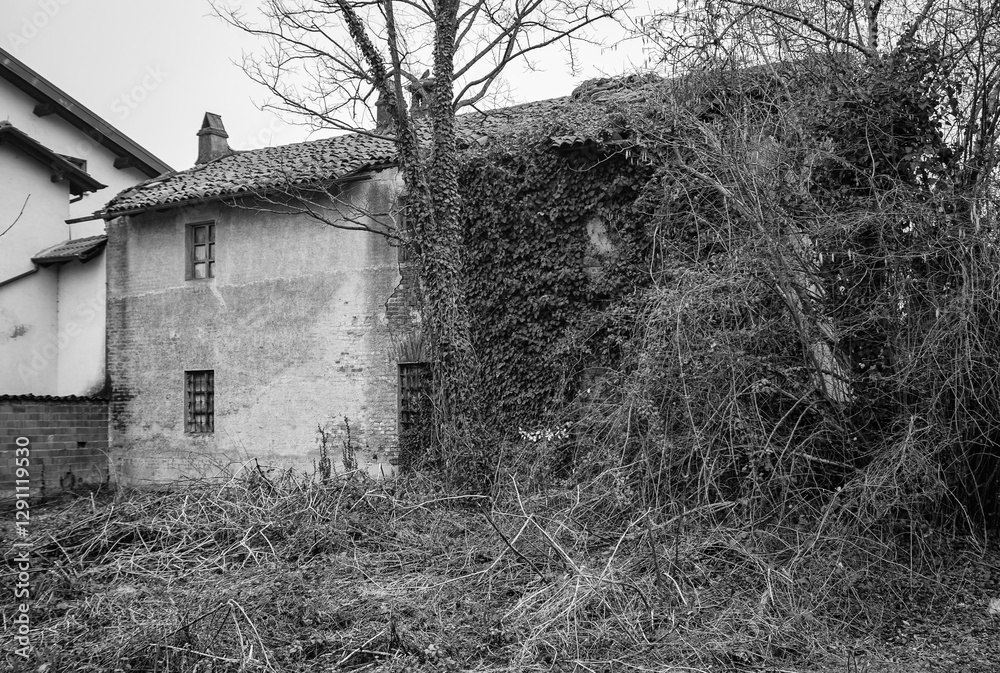 Old ruined farm in the countryside of Lomellina Region (Northern Italy, between Novara, Vercelli and Pavia Province); this area is cultivated valuable species of rice, worldwide exported. Old ruined farm in the countryside of Lomellina Region (Northern Italy, between Novara, Vercelli and Pavia Province); this area is cultivated valuable species of rice, worldwide exported.