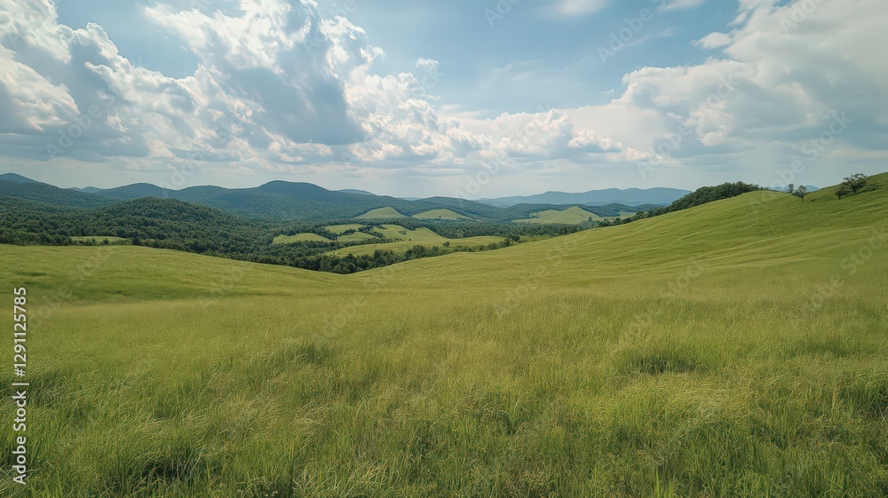 Lush Green Rolling Hills Under a Partly Cloudy Sky Lush Green Rolling Hills Under a Partly Cloudy Sky