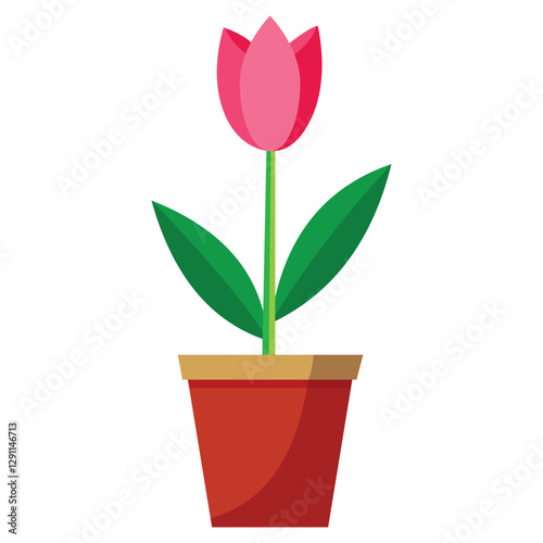 Blooming Pink Tulip in Pot with Green Leaves