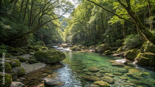 Dense forest canopy above a crystal clear mountain stream with smooth rounded rocks and sunlit pools, depth, ferns, tranquility, water