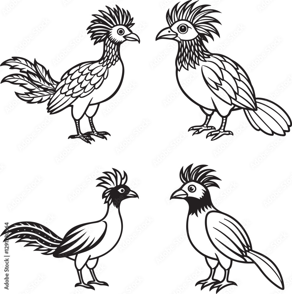 Fototapeta premium paradise bird line art design 