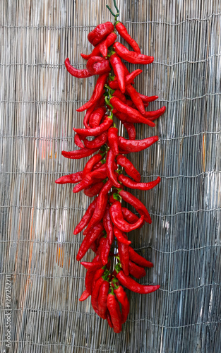 Принти на полотні String of red chili peppers hanging and drying on a cane fence