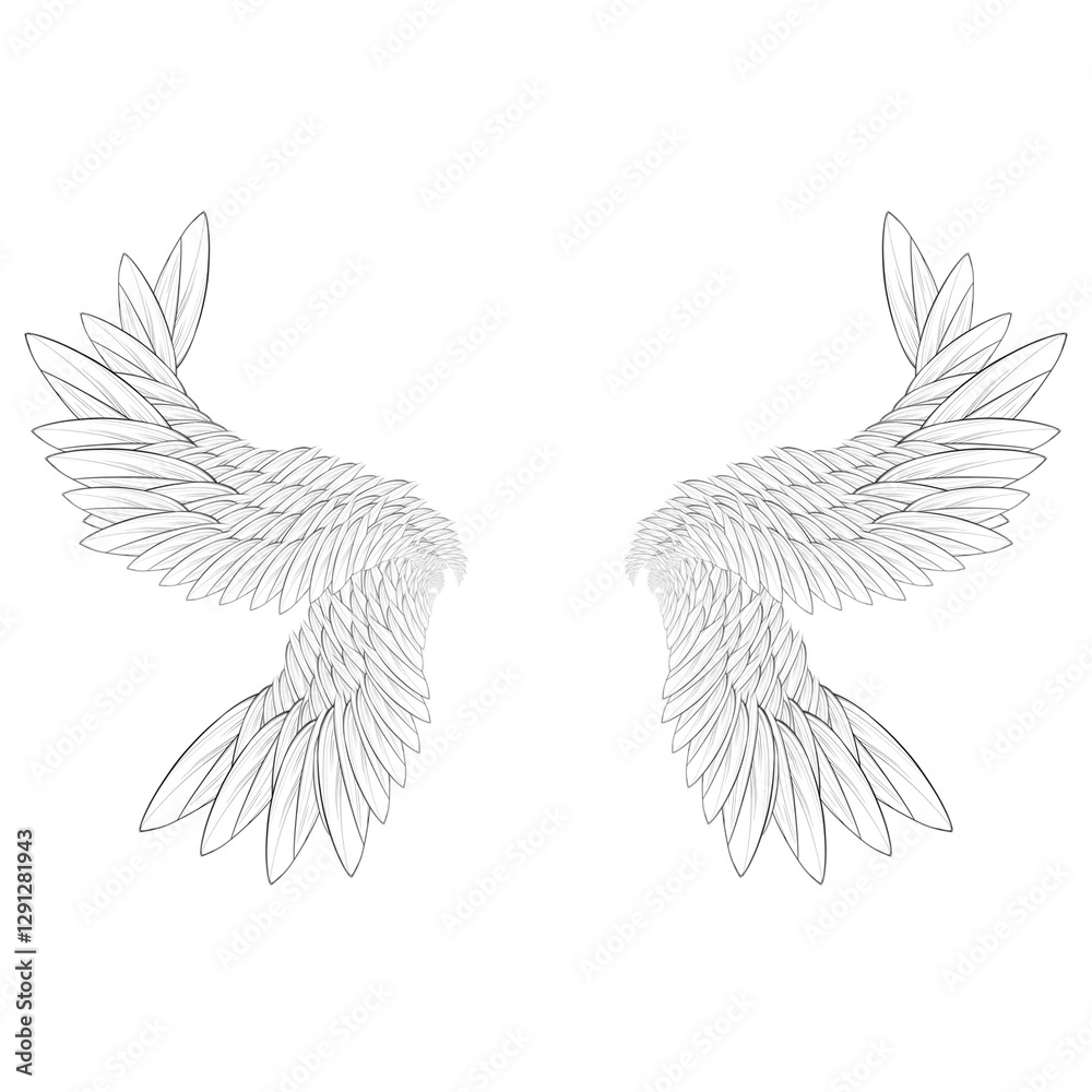 vector illustration of a dove vector illustration of a dove
