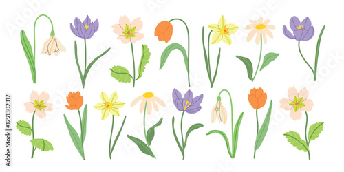 Spring meadow flowers vector illustration collection. Modern hand drawn crocus, tulips, snowdrops, daffodils and camomile clip art set for books, stationery, banners and social media