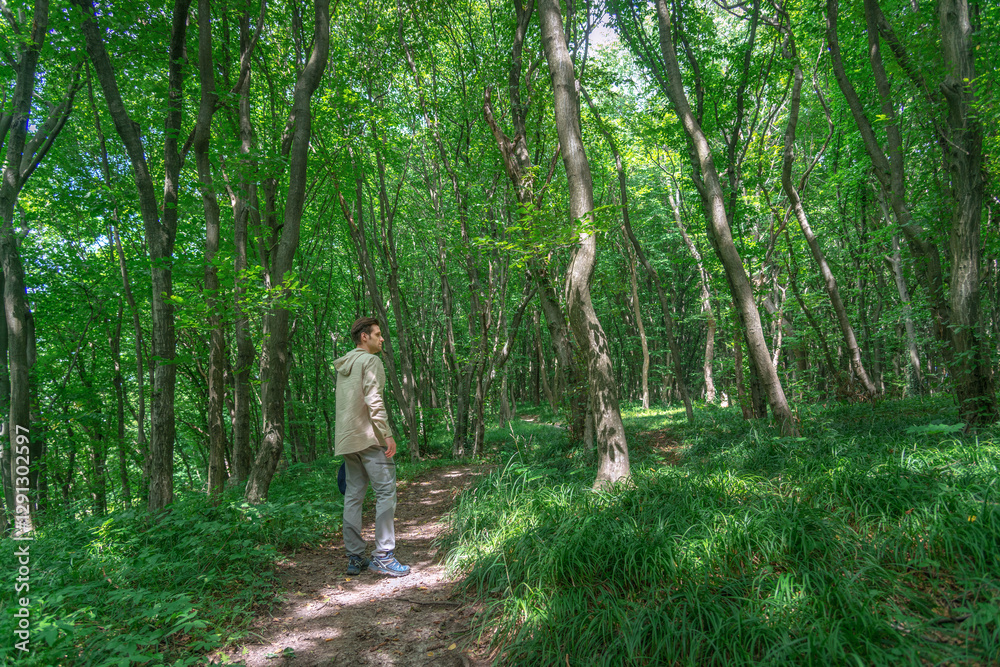 A young tourist stands amidst a backdrop of captivating forest scenery exploring forest and enjoying his solo trip. A young tourist stands amidst a backdrop of captivating forest scenery exploring forest and enjoying his solo trip.