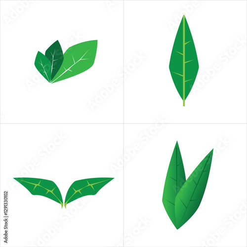 Four leaves with different shapes part one