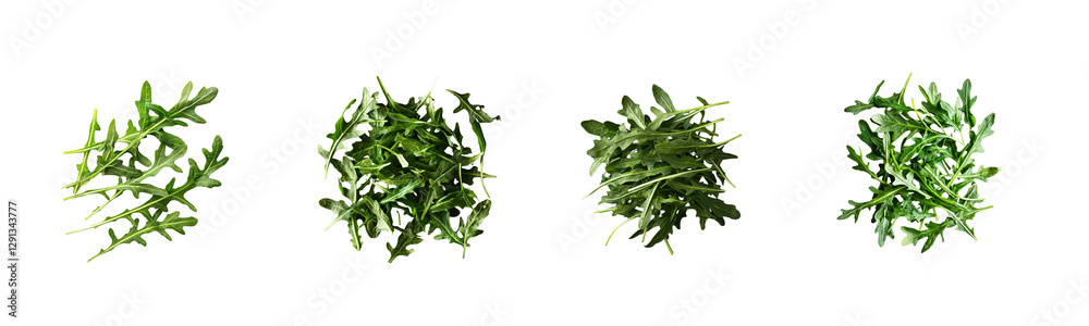 Fresh Green Arugula Leaves on Black Background for Culinary Uses Fresh Green Arugula Leaves on Black Background for Culinary Uses