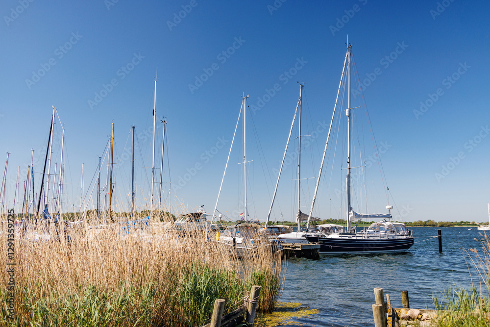 Obraz premium Sailboats docking at pier on sunny day with clear sky