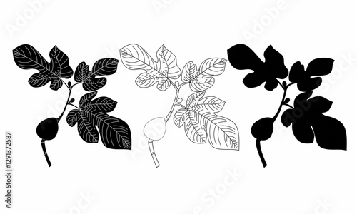 Black and white vector illustration of a fig tree branch with leaves and fruits. Hand-drawn botanical silhouette and line art for design, decoration, or prints.