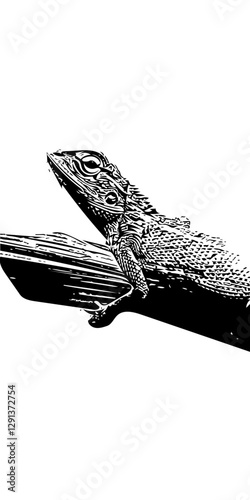Reptiles 