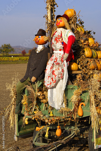 Creation of the pumpkin festival held every autumn in Zellerndorf, Austria, near Retz	
 photo