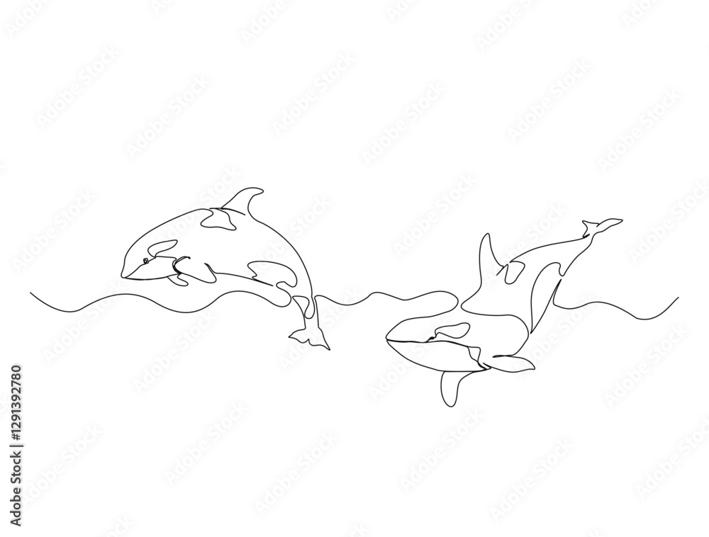 Obraz premium Continuous one line drawing of orca whale in the sea. Killer whale in single line draw illustration. Editable stroke.