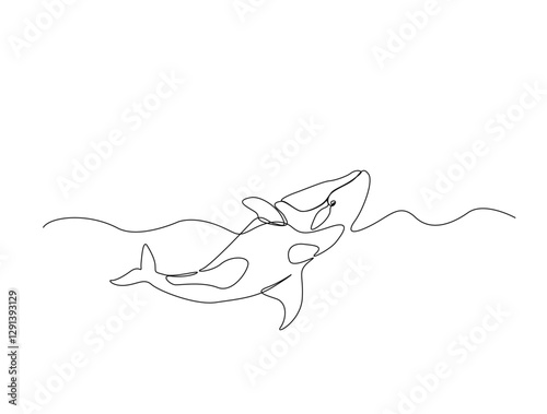 Continuous one line drawing of orca whale in the sea. Killer whale  in single line draw illustration. Editable stroke.