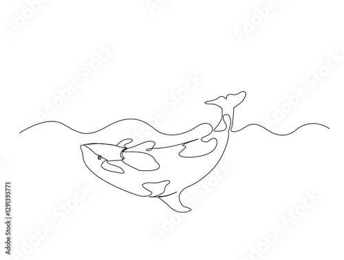 Continuous one line drawing of orca whale in the sea. Killer whale  in single line draw illustration. Editable stroke.