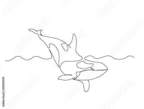 Continuous one line drawing of orca whale in the sea. Killer whale  in single line draw illustration. Editable stroke.