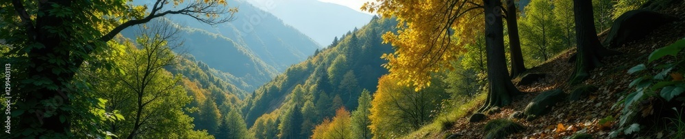 Dense forest on a steep hill with falling branches and leaves, trees falling, Svaneti region Dense forest on a steep hill with falling branches and leaves, trees falling, Svaneti region