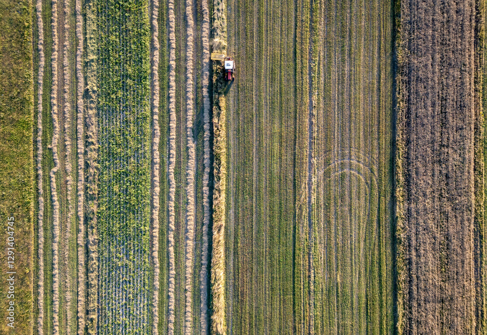 A tractor during summer field work in a field in the Masovian Voivodeship in Poland.