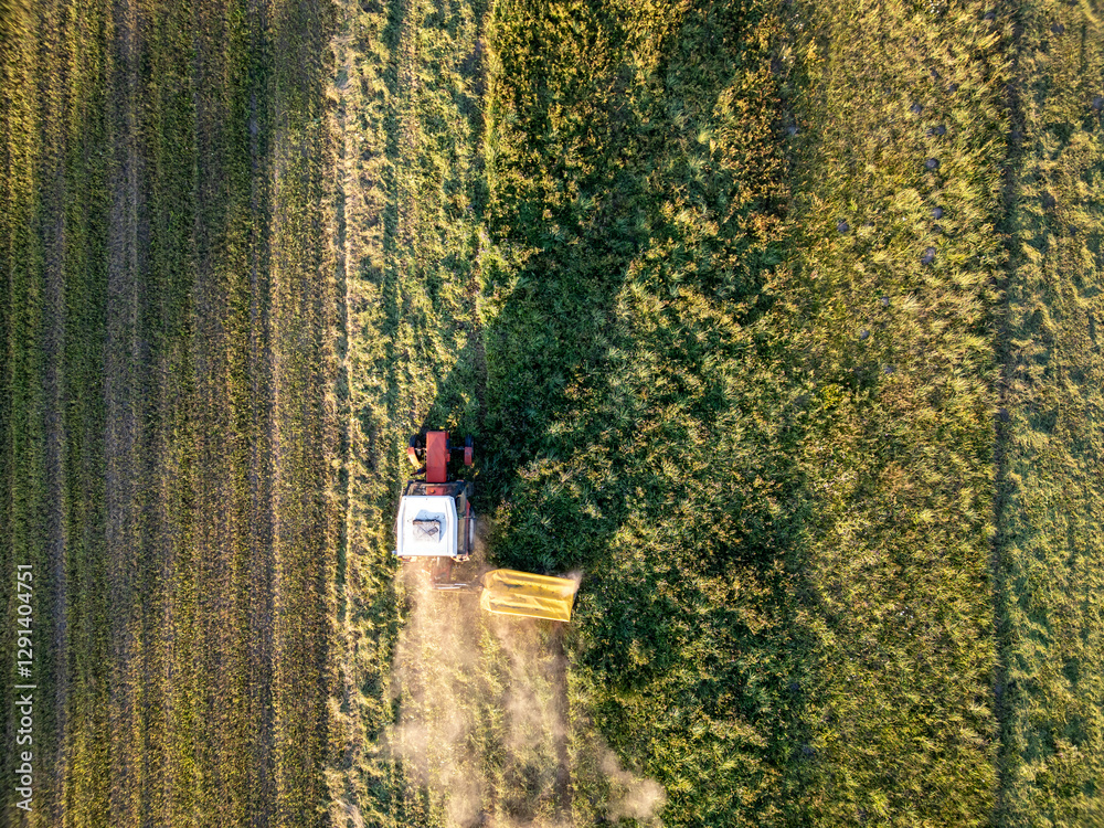 A tractor during summer field work in a field in the Masovian Voivodeship in Poland.
