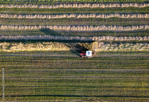 Obraz na płótnie A tractor during summer field work in a field in the Masovian Voivodeship in Poland. w salonie