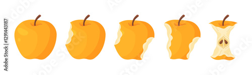 Yellow juicy apple eating steps icon set. Stages of biting ripe apple from whole to half and core, bite progression. Hand drawn flat style isolated. Bitten apple fresh garden fruit Vector illustration