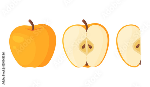Yellow ripe apple. Whole, half, slice of fresh yellow apple garden fruit. Hand drawn food clipart. Cartoon apple fruit Flat style isolated, transparent background Golden Delicious Vector illustration