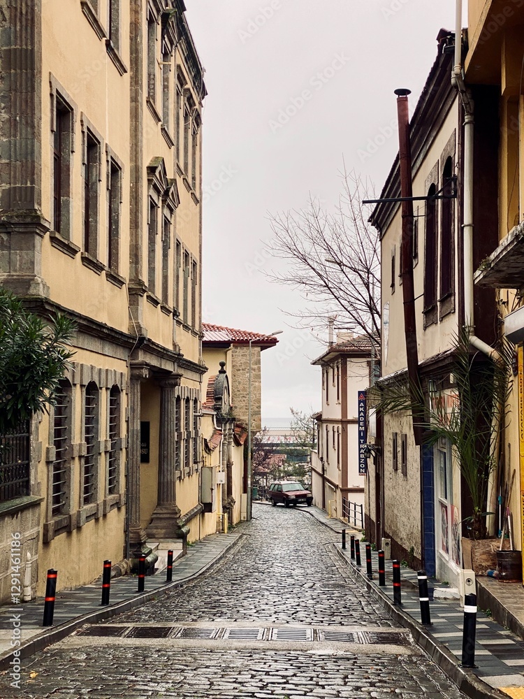 Fototapeta premium narrow street in the old town