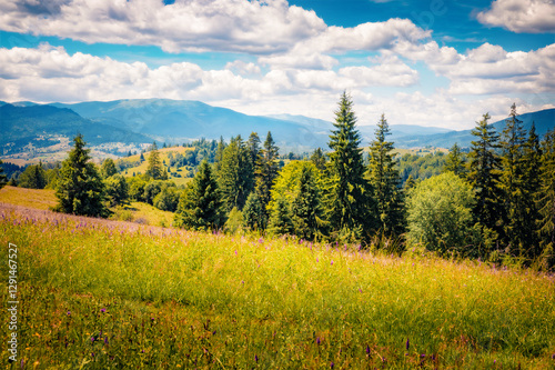 Wonderful summer scene of grassland in Carpathian mountains. Amazing morning landscape of fresh green meadow in Ukraine, Europe. Picturesque outdoor scene of mountain valley. photo