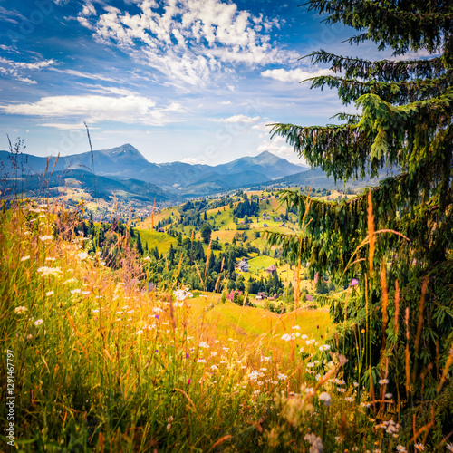 Mountain valley in June. Wonderful summer view of Stebly village. Astonishing morning scene of Carpathian mountains, Ukraine, Europe. Beauty of countryside concept background.