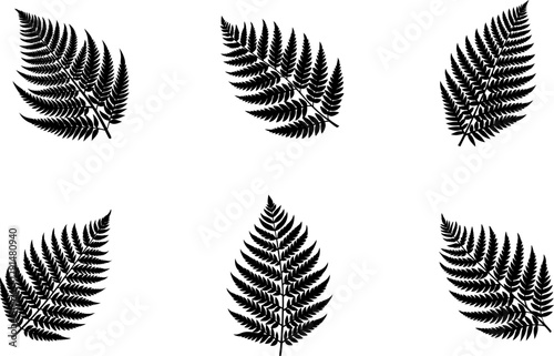 Set of Fern Leaf Silhouette Vector Illustrations for Botanical and Nature-Inspired Design Projects