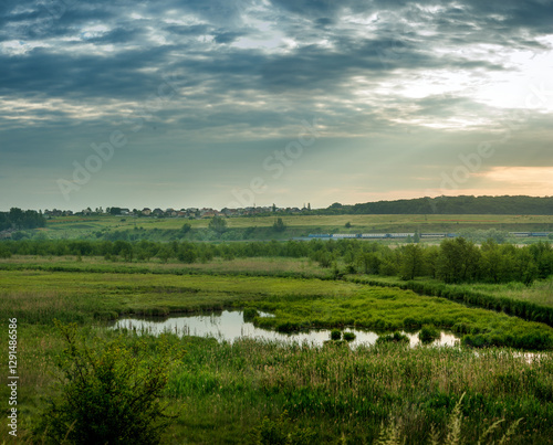 Swamps, the floodplain of the Seret River, vast green meadows, a train in the...