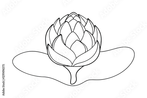 Artichoke Line Drawing Illustration