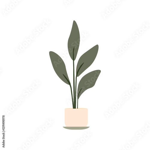 Potted green plant with large leaves on a white background. Vector illustration