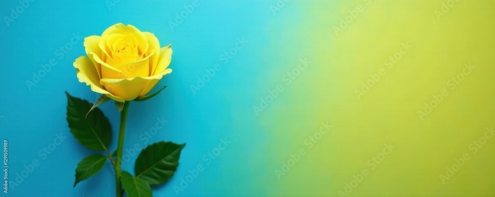Fototapeta premium Solitary yellow rose, blank page, blue backdrop, vibrant, blank paper
