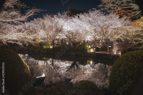 桜 日本 京都