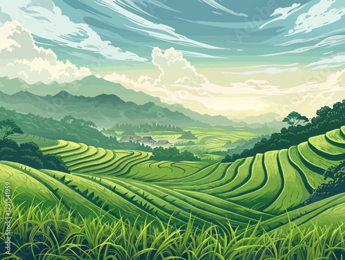 rice terraces in the morning