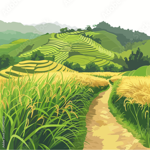 Ricefield isolated 