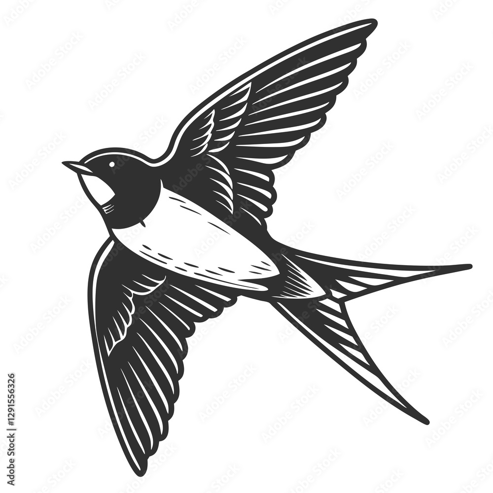 Obraz premium Barn Swallow silhouette vector illustration