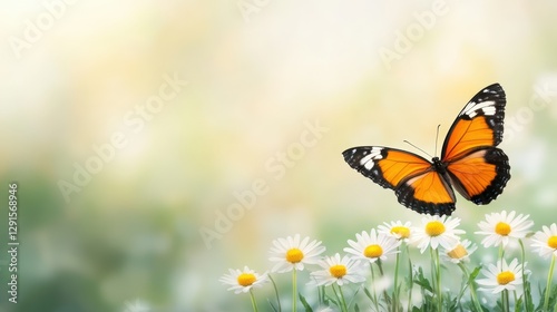 A vibrant butterfly hovers over delicate daisies, creating a serene and uplifting scene, Ideal for nature-themed projects, blogs, or educational materials about wildlife and ecosystems,